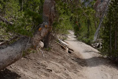 DSC_3121 (Large).JPG